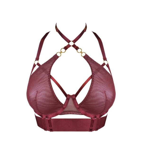 Bodice bra